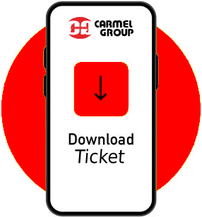 Download Ticket